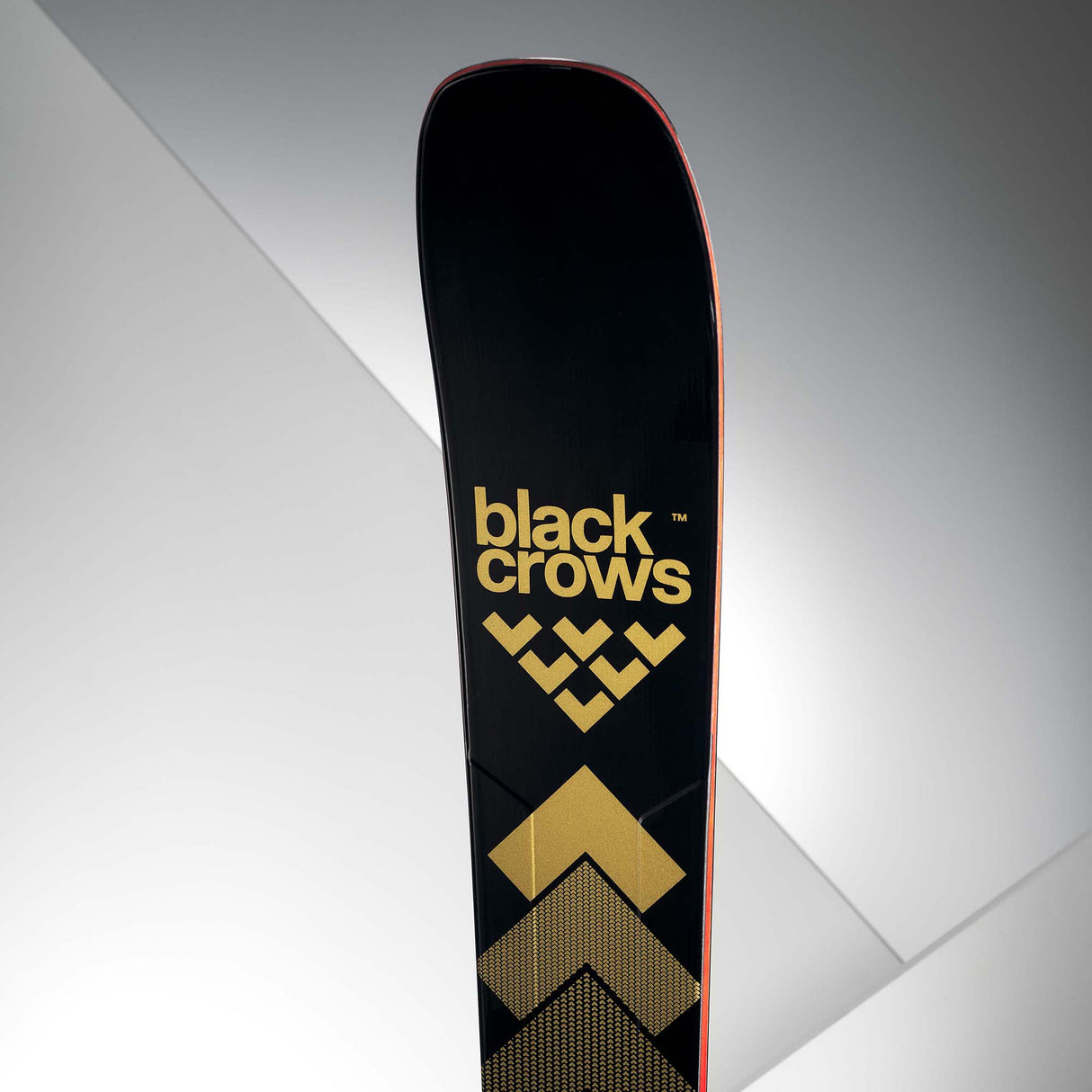 Sorte Krager Retfærdighed 24/25