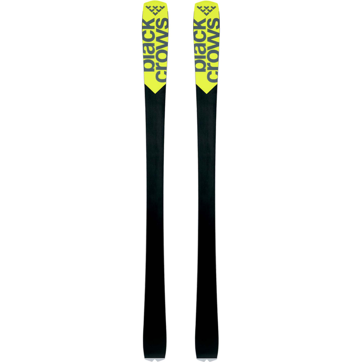 Black Crows 24/25 oktober