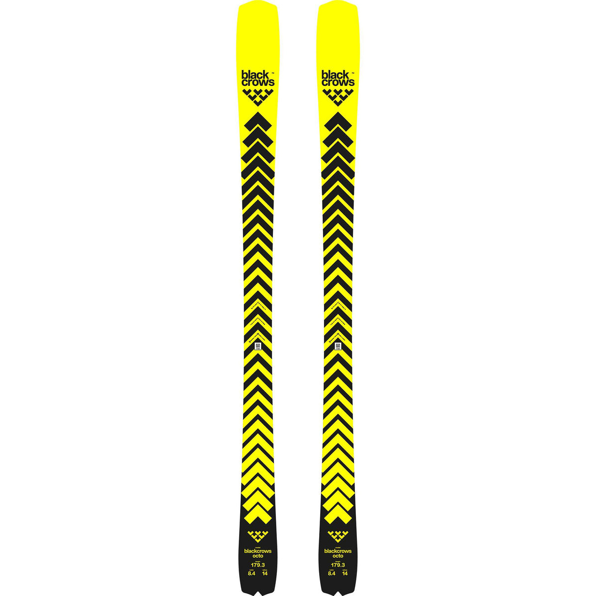 Black Crows 25./26. oktober