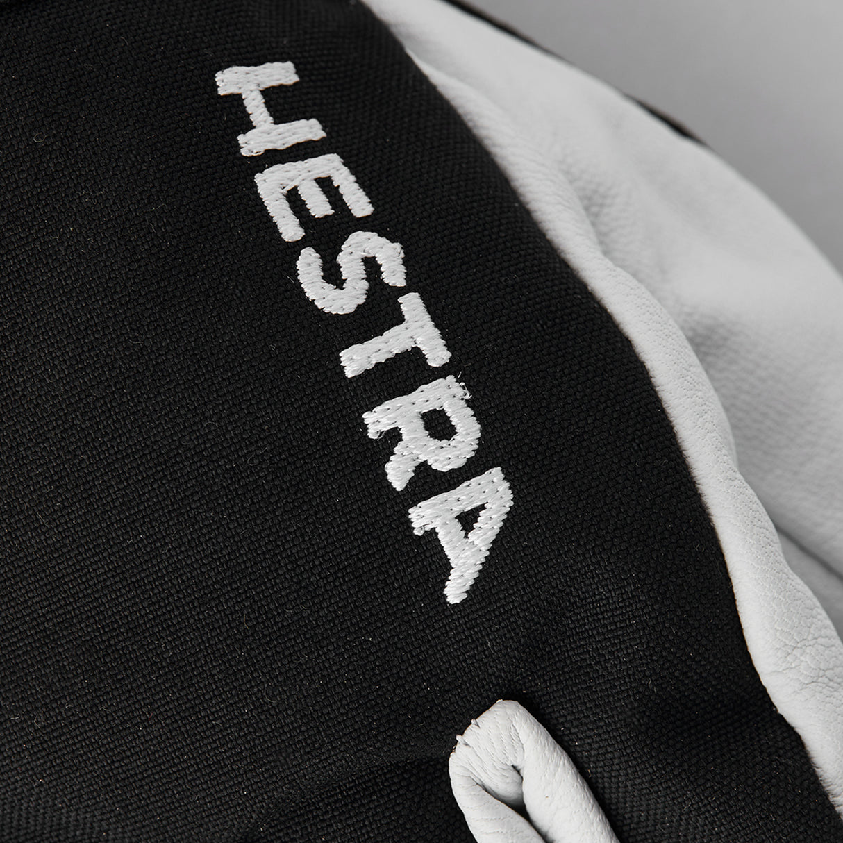 Hestra Army Leather Heli Ski Jr - 5 finger