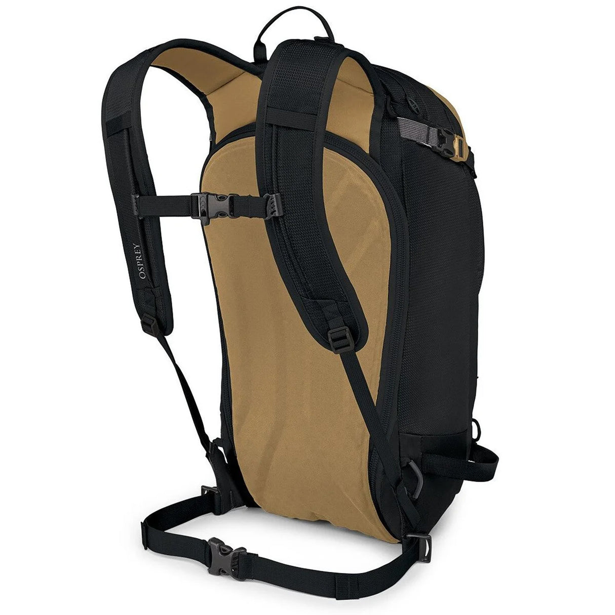 Fiskeørn Sölden 22