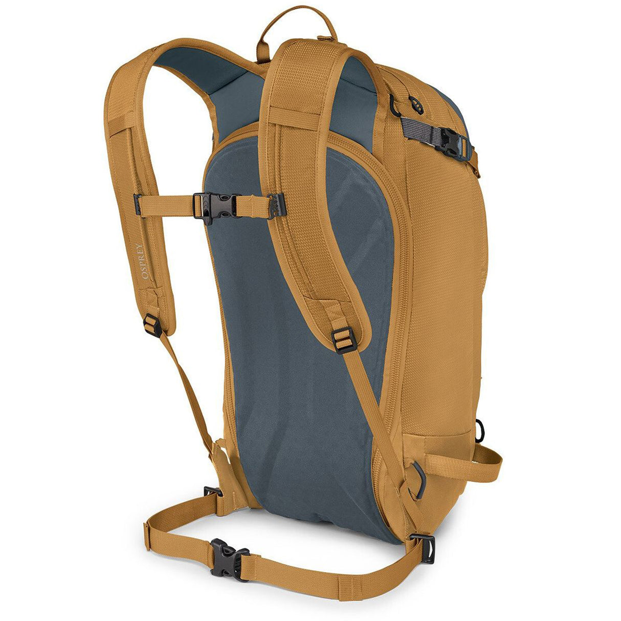 Fiskeørn Sölden 22