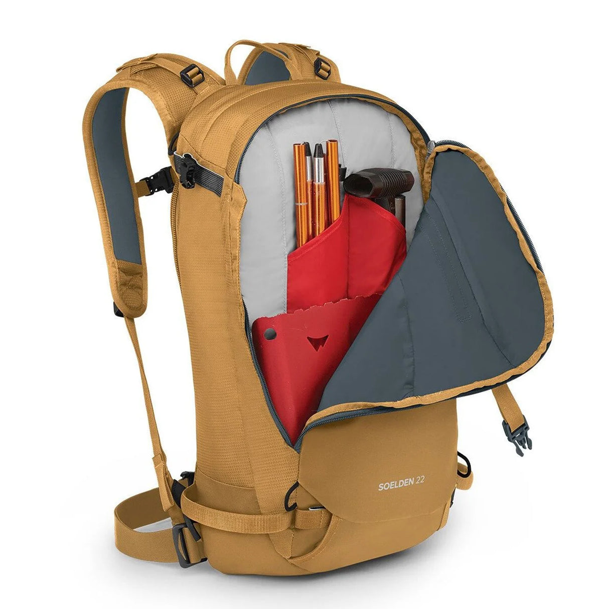 Fiskeørn Sölden 22