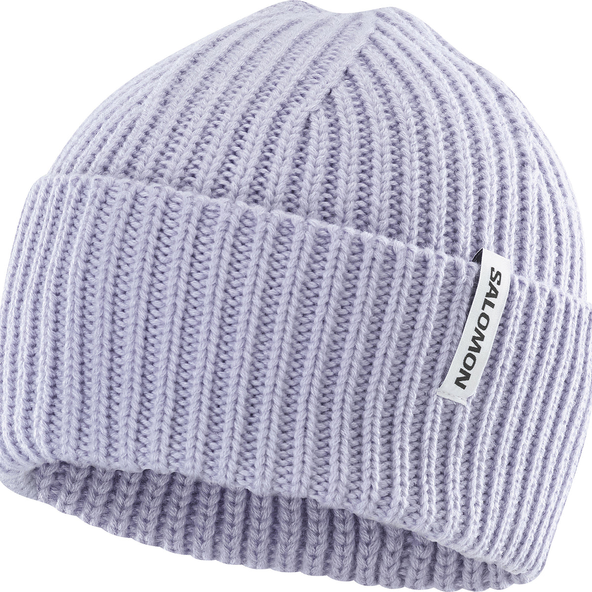 Salomon Snowbird Beanie