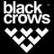 Black Crows