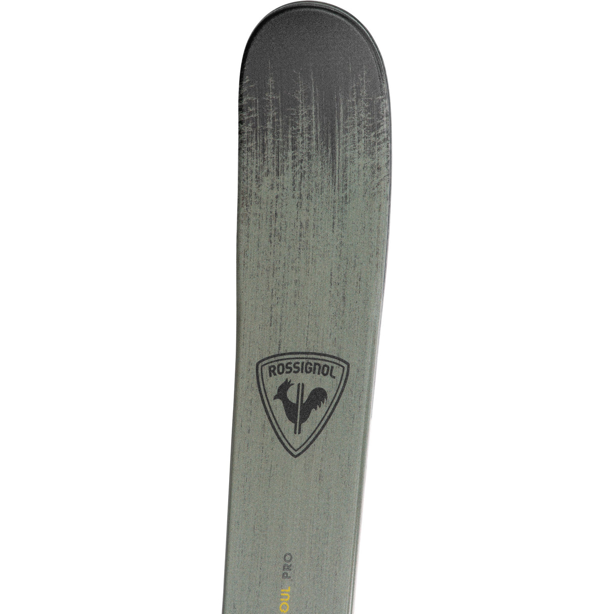 Rossignol Sender Soul Pro 24/25