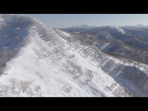 Tyrolia Attack Hybrid 14 MN/PT